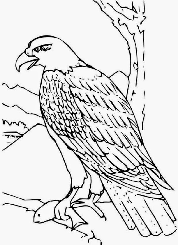 eagle power rangers coloring pages - photo #37