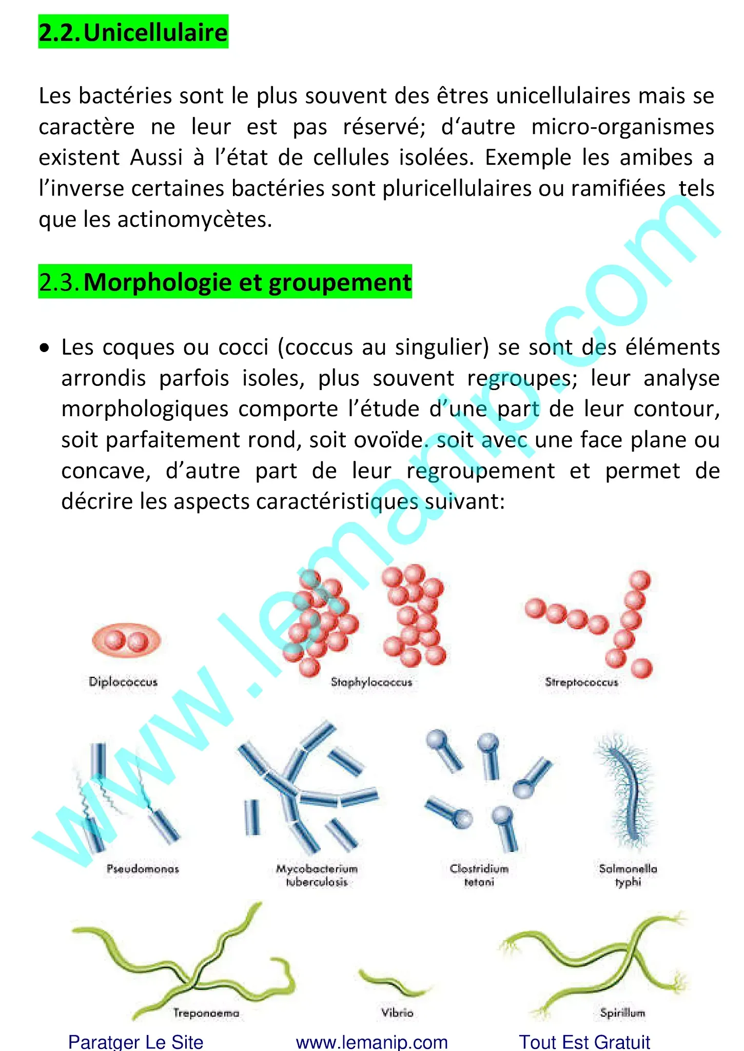 Unicellulaire