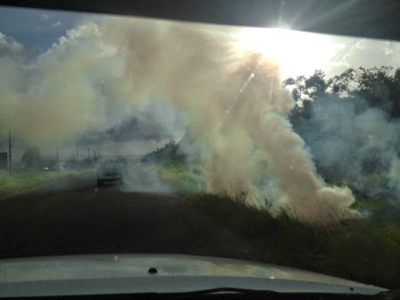 Newcomer Expats in Placencia + San Ignacio pictures! 82 Remaxvipbelize : Farmer Burns the crops