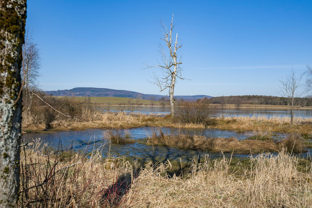 Drei-Seen-Tour Freiensteinau | Extratour Vogelsberg | Wandern in Hessen 16