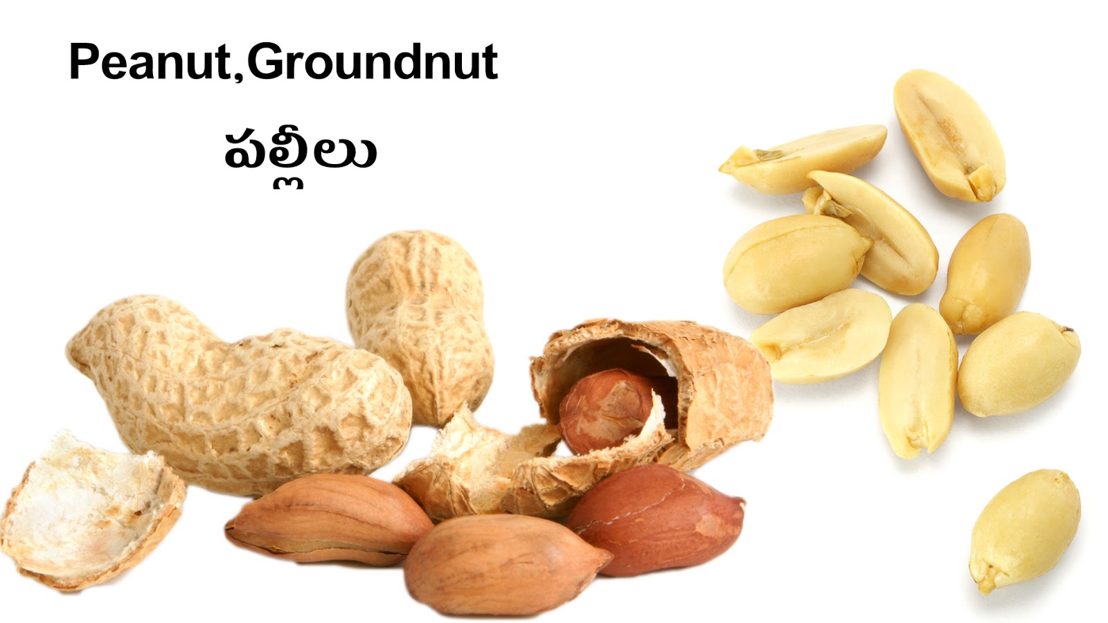 NUTS & DRY FRUITS Picture Dictionary English Telugu