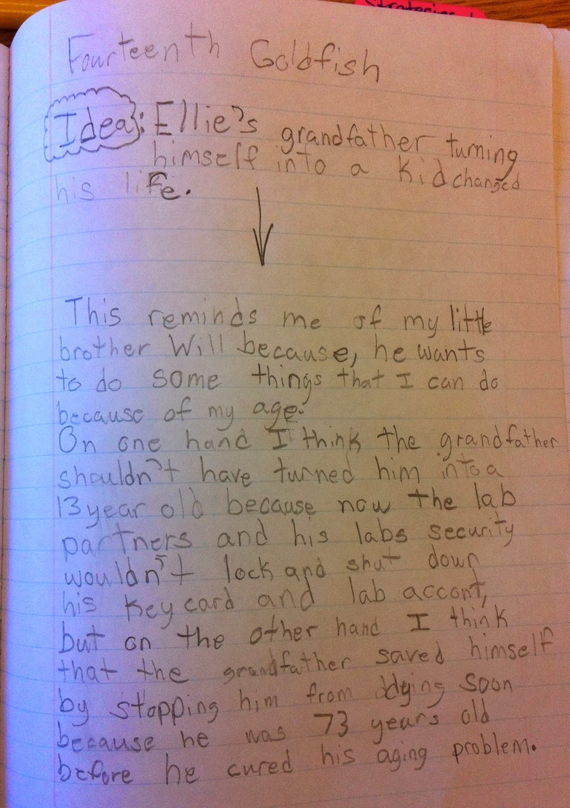 Two Reflective Teachers: Ways we are using our Reader's Notebooks!