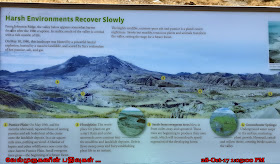 Mount St Helens Environment Info 