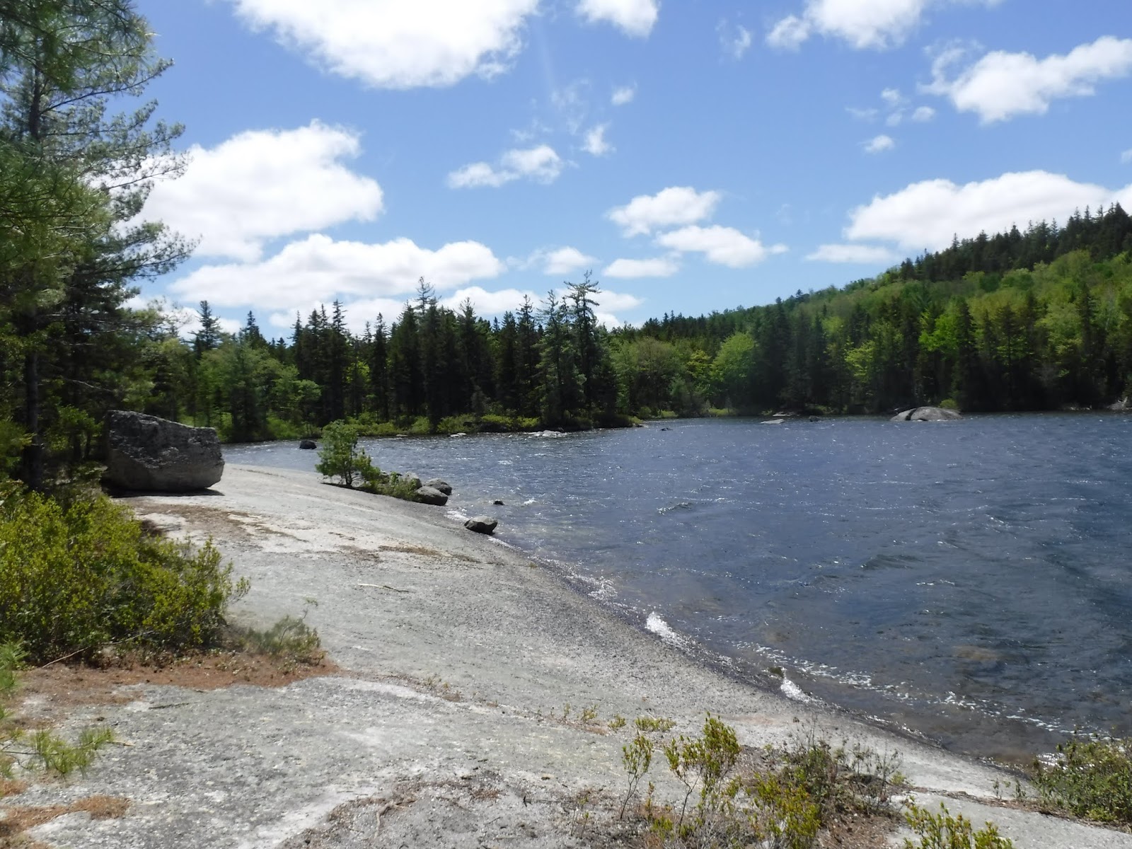 Ducktail and Partridge Ponds, Amherst Mountains Community Forest