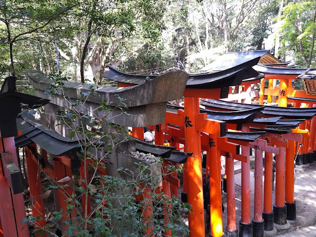 IMG_20160415_1023473 Jalan-Jalan Terus: Kyoto