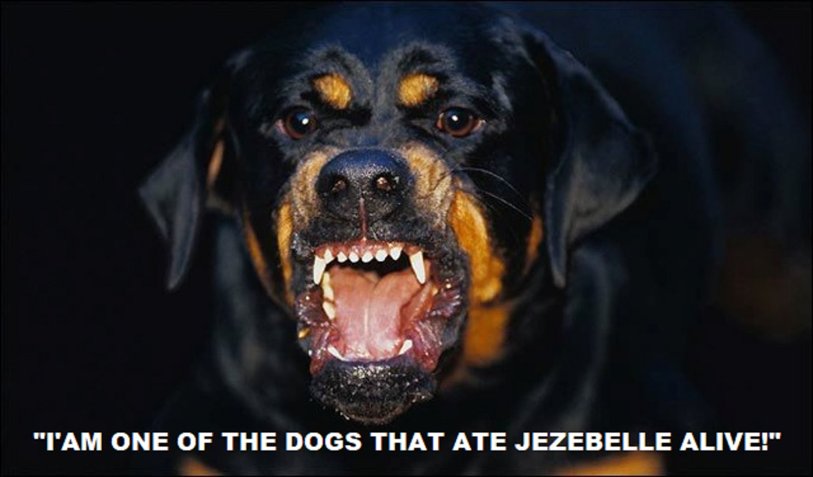 I'AM ONE OF THE DOGS THAT ATE JEZEBELLE ALIVE!