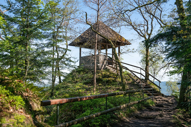 Premiumwanderweg Murgleiter | Etappe 1 von Gaggenau nach Gernsbach | Wandern nördlicher Schwarzwald 17