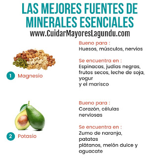 Las Mejores Fuentes de Minerales Esenciales eBook consejos perder peso libro Las Mejores Fuentes de Minerales Esenciales eBook consejos perder peso libro