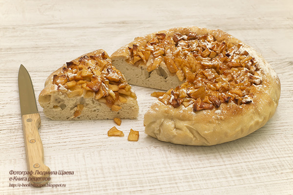 http://e-bookofrecipes.blogspot.com/2016/03/pirog-s-yablochnim-vareniem.html#more