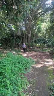 Sumber Biru, Dusun Biru, Singosari : Wisata Spiritual Yang Jarang Diketahui Para Pelaku Sumber Biru, Batarubuh, Botorubuh, Mbiru, Singosari, Malang, Sumber Nagan, Sumberawan