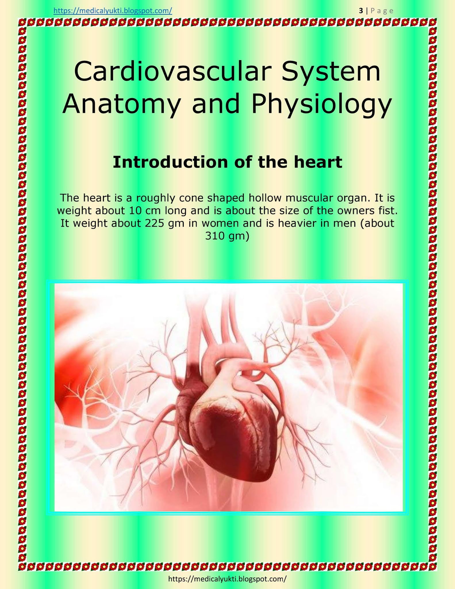 Cardiovascular System Anatomy Physiology - Medical Yukti