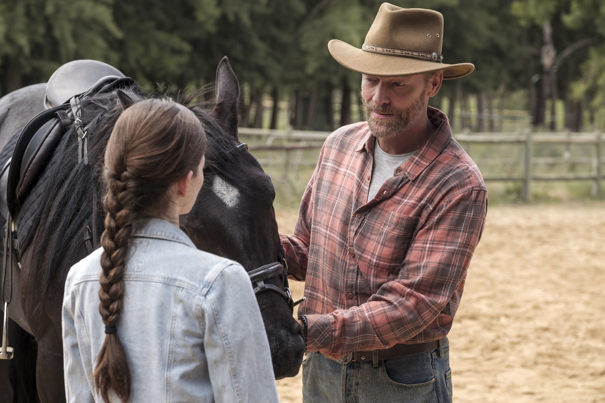 BLACK BEAUTY (2020) Trailer, Featurette, Images and Poster The