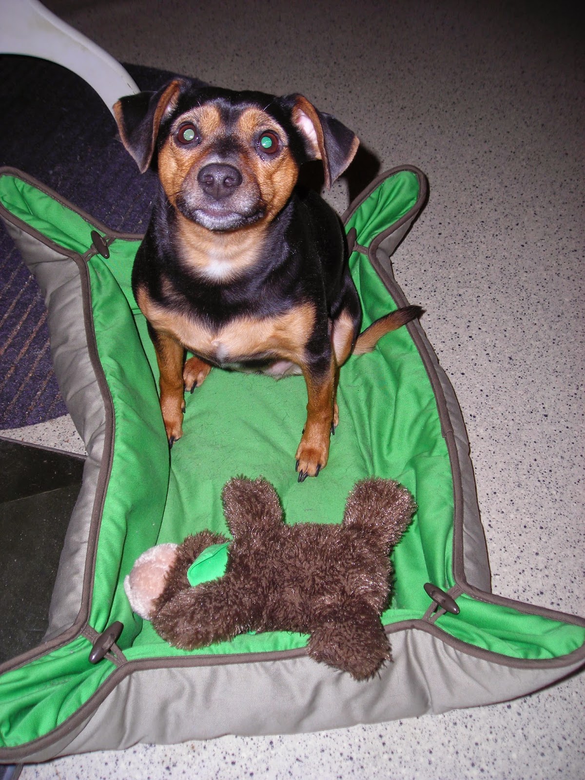 Alltagsheldennetz World Of Pd