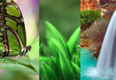 iPhone 5 HD Wallpapers 2012 / 2013 | Galerry Wallpaper