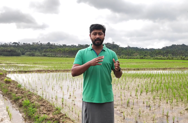 इस टीचर ने शुरू की धान की जैविक खेती, हो रही पूरे भारत में सराहना।