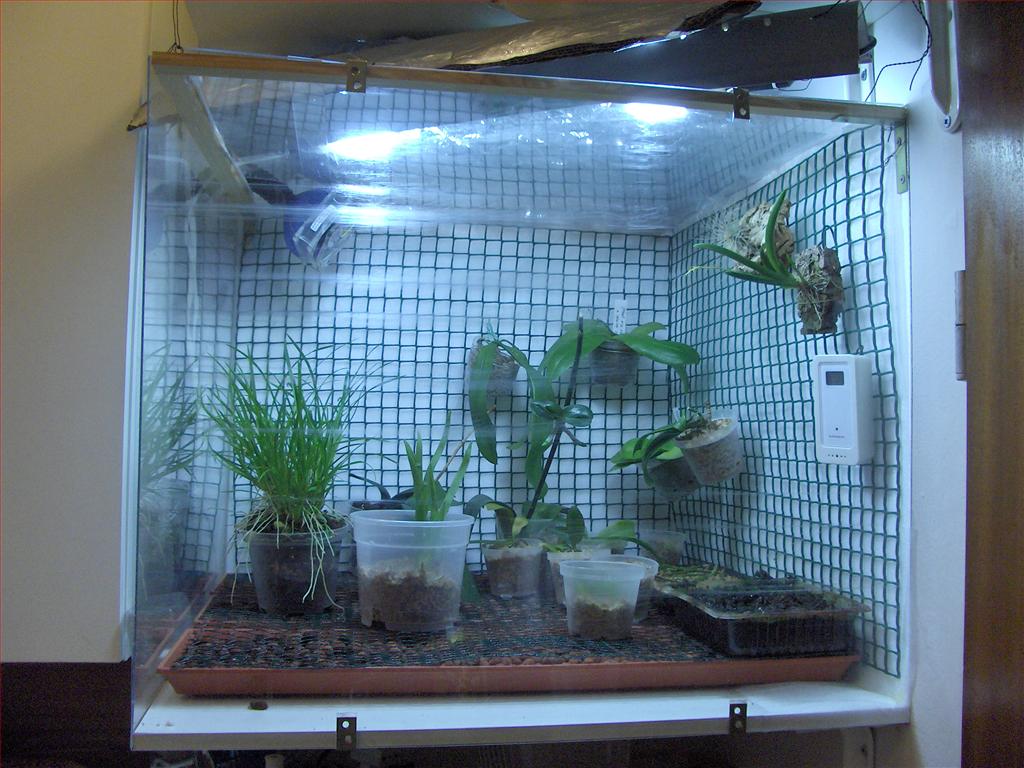 Orchids How To Orchidarium shelf, self made (DIY).