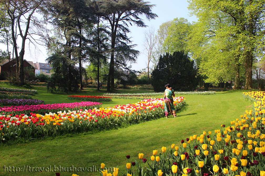 Floralia Brussels Belgian Tulip Festival My Travelogue Indian Travel Blogger, Heritage