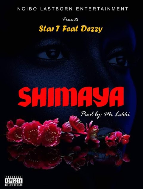  [Music] Star T ft. Dezzy - Shimayam (prod. by Mr. Lekki) #hypebenue 