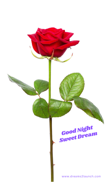 good night rose good night rose