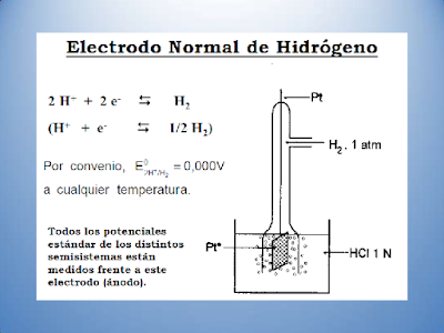 Rosa multimedia fisica y quimica: 4. POTENCIAL DE REDUCCIÓN ESTÁNDAR ...