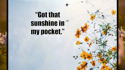 Quotes About Sunshine images