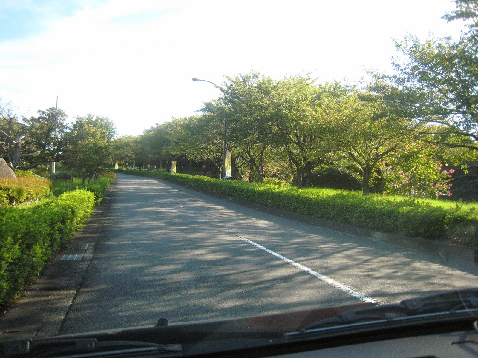 フリーマーケット情報 神奈川県伊勢原市フリーマーケット20140920