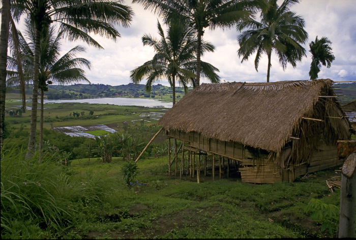 Bahay Kubo, Kahit Munti  "Onli in da Philippines"