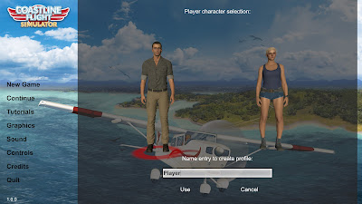 Coastline Flight Simulator Game Screenshot 8