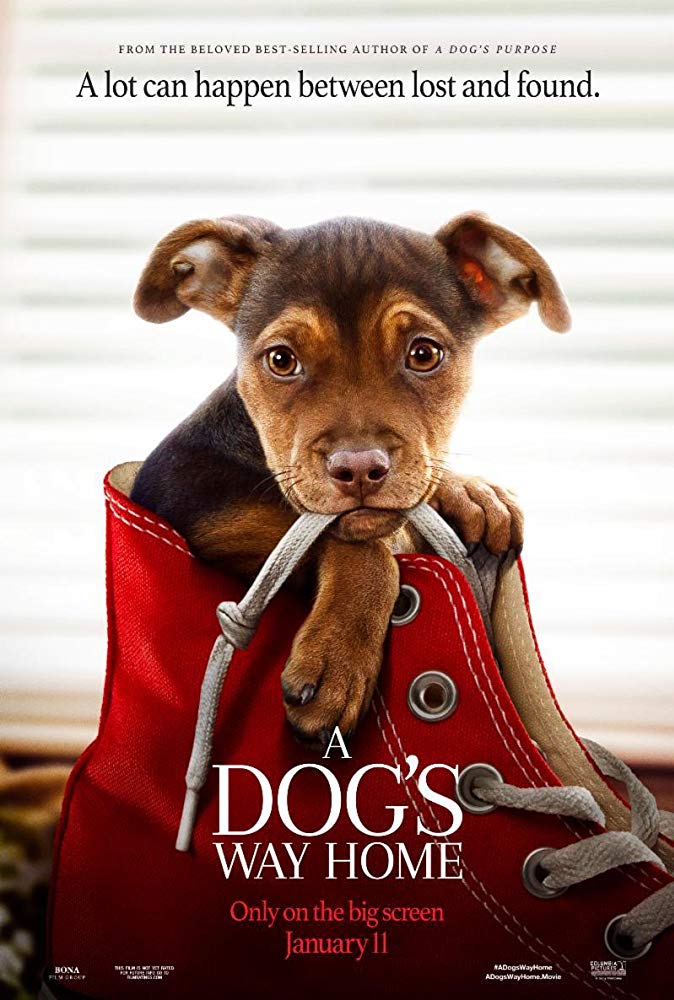 Movie Review "A Dog's Way Home" (2019) Lolo Loves Films