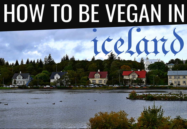 HOW TO BE VEGAN IN ICELAND: ACCIDENTALLY VEGAN ICELANDIC DISHES AND MORE!