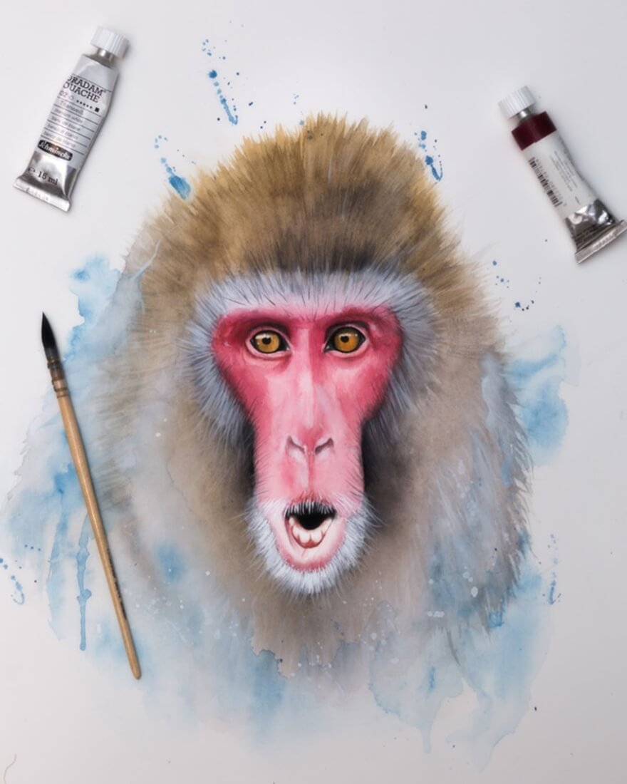10-Japanese-Macaque-Kieran-O-Connor-Animal-Watercolor-Paintings-and-Pencil-Drawings-www-designstack-co