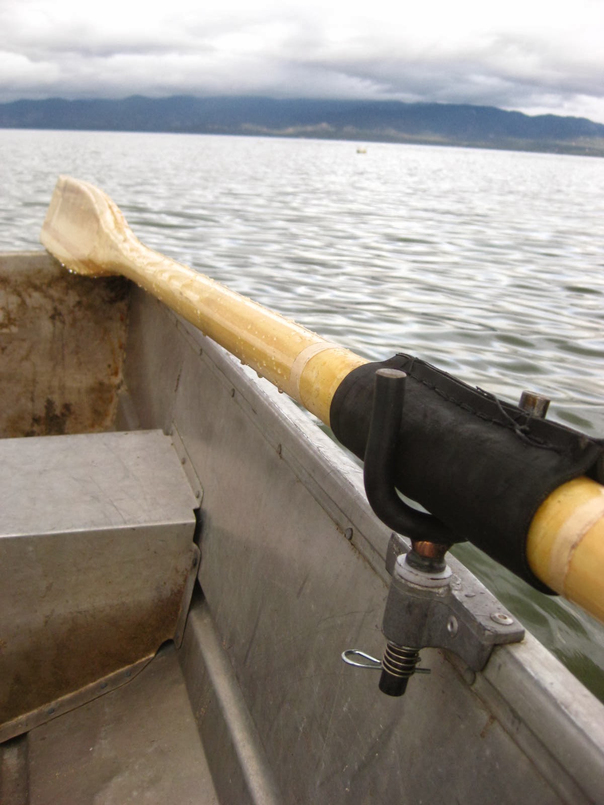 thatcher Oar lock test and roadkill