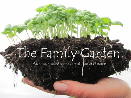 The Family Garden