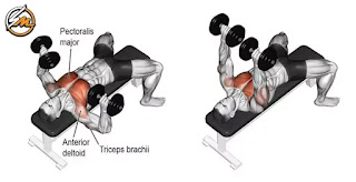 5 Best Exercises to Develop Lower Chest