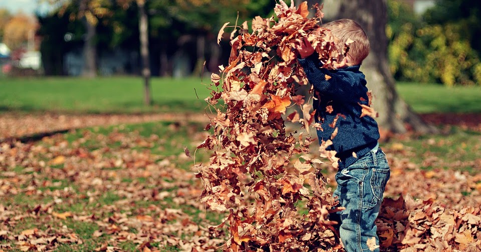Schwangerschaftsupdate 40 Ssw Senkwehen Einfach Ina Bloglovin