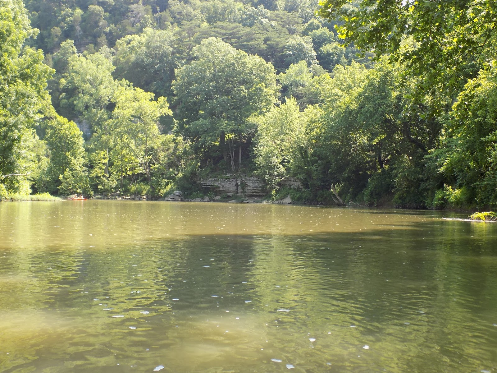 Paddle Tennessee: Harpeth River Gossett Tract to Harris 