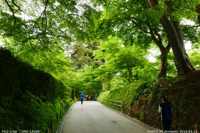 在城市中 旅行 諾特 日東北散策 12 岩手 毛越寺與中尊寺