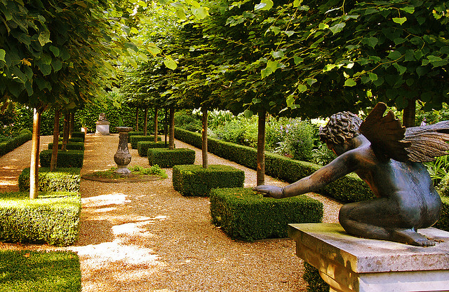 El Jardinero, plantas y flores: árboles y arbustos para embellecer el