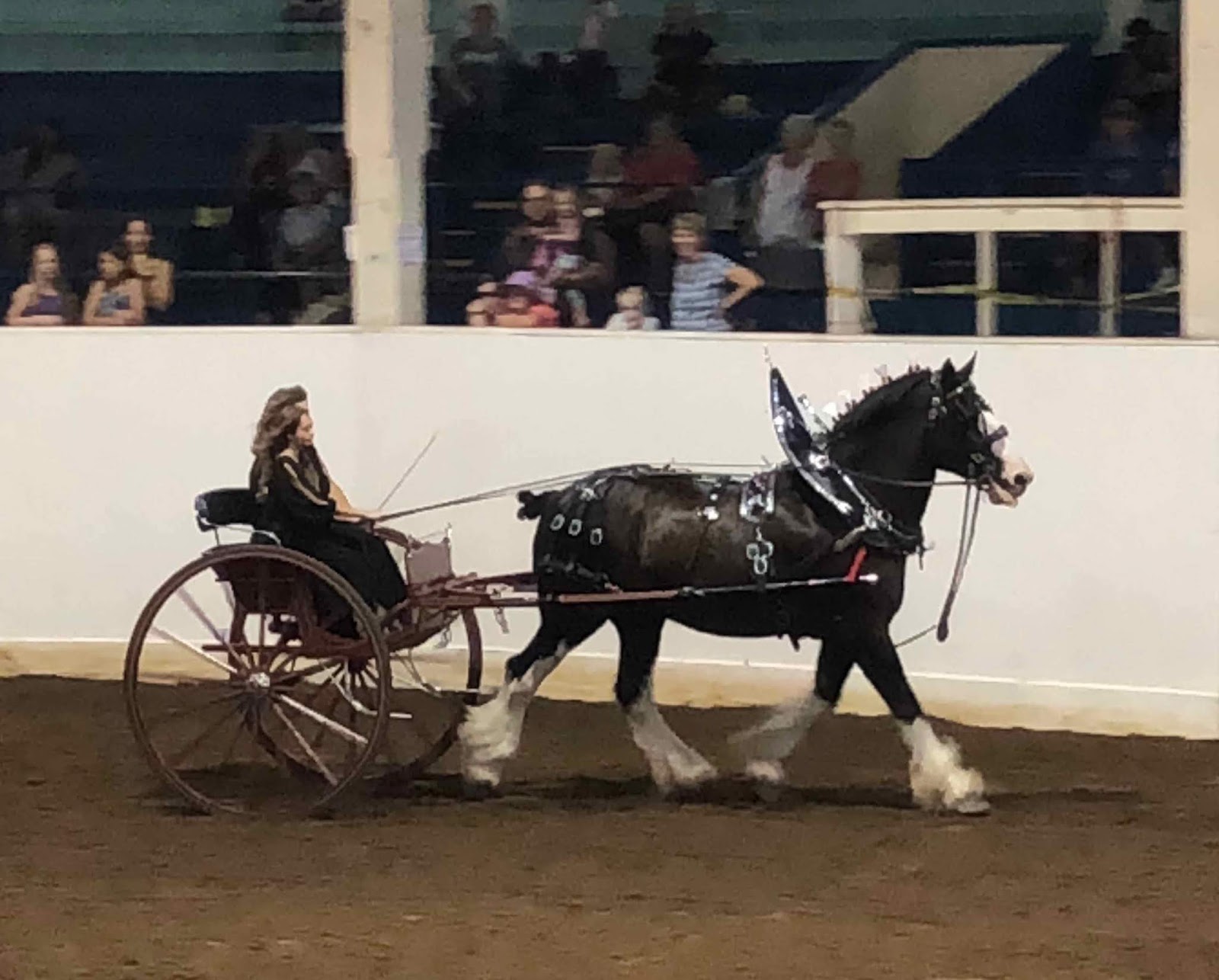 Boulderneigh Putting the horse before the cart