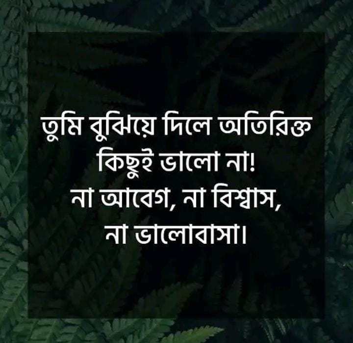 Best Unique Bangla Status For facebook, Whatsapp {With HD Images}