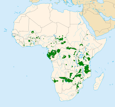 Afrika filinin dağılımı