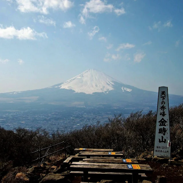 金時山山頂　富士山
