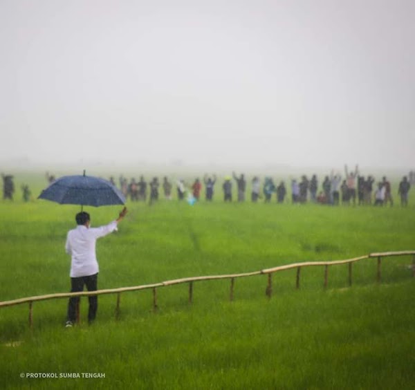 Jokowi Hujan-hujanan di Tengah Sawah, Andi Arief: Siapa Tanggung Jawab Kalau Gundala Tersambar Petir?