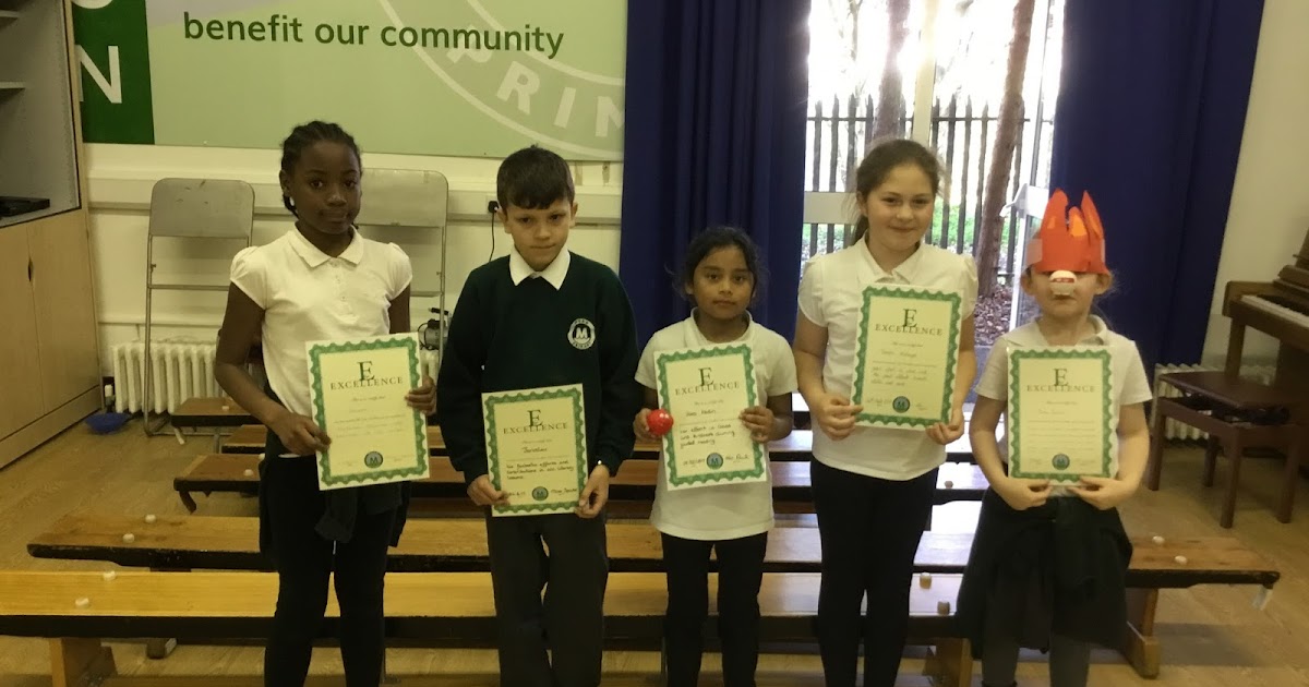 Mead Primary E for Excellence Winners