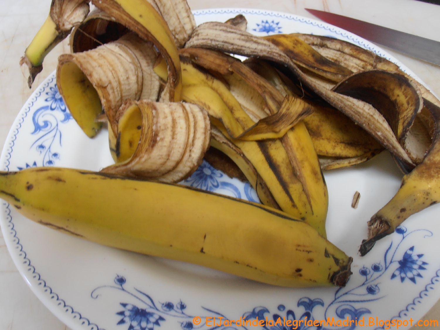 El jardín de la alegría Té de cáscara de plátano. Una buena forma de