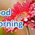 Top 10 Good Morning Images, Greetings, Pictures for Whatsapp and bestwishespics