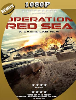 Operación mar Rojo (Operation Red Sea) (2018) REMUX [1080p] Latino [GoogleDrive] PGD