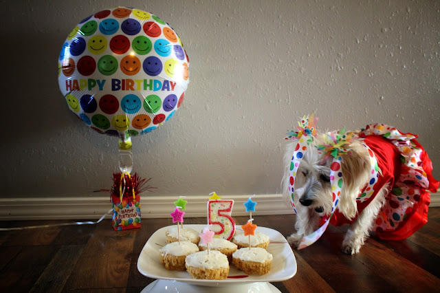 Lexie's Surprise Birthday Pawty
