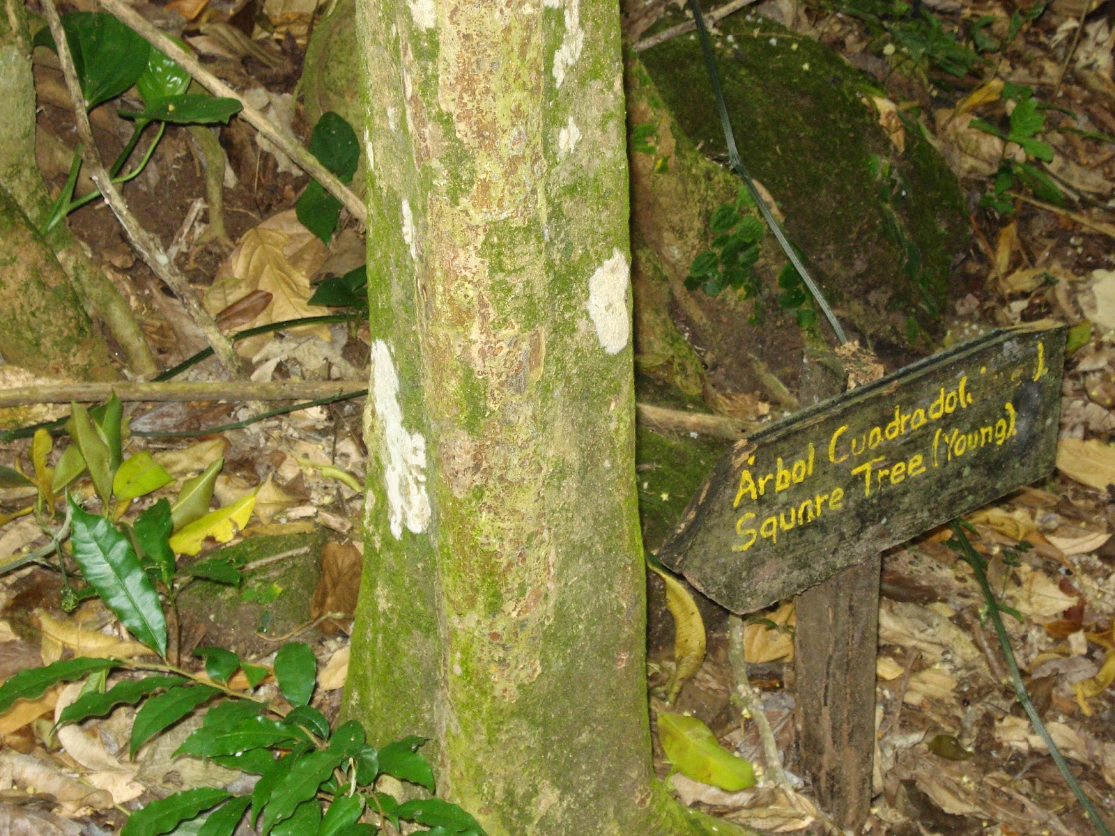 Sangüesino Viajero: julio 2014