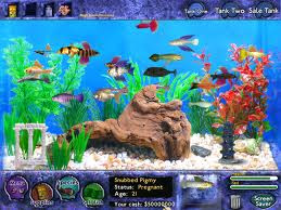 fish tycoon 3 free download